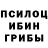 Галлюциногенные грибы прущие грибы Nazokat Olimova