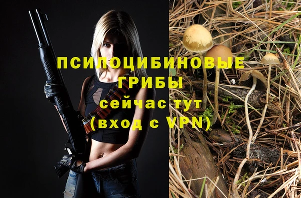 apvp Баксан