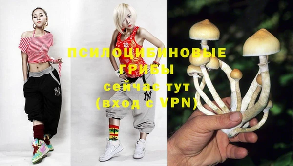 прущий лед Балахна